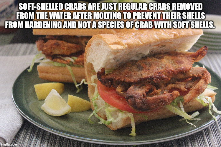 buffalo burger - SoftShelled Crabs Are Just Regular Crabs Removed From The Water After Molting To Prevent Their Shells From Hardening And Not A Species Of Crab With Soft Shells. imgflip.com