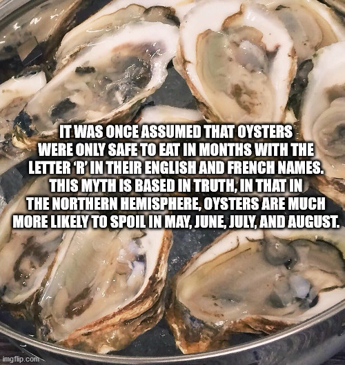 oyster - It Was Once Assumed That Oysters Were Only Safe To Eat In Months With The Letter 'R' In Their English And French Names. This Myth Is Based In Truth, In That In The Northern Hemisphere, Oysters Are Much More ly To Spoil In May, June, July, And Aug