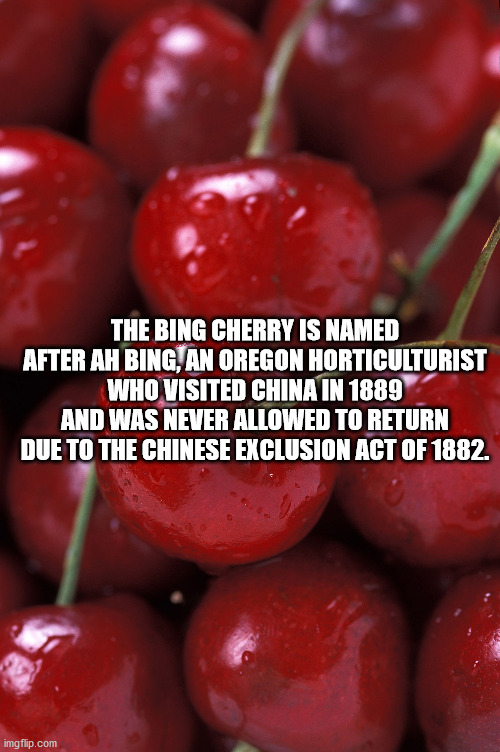 cherries - The Bing Cherry Is Named After Ah Bing, An Oregon Horticulturist Who Visited China In 1889 And Was Never Allowed To Return Due To The Chinese Exclusion Act Of 1882. imgflip.com