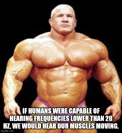 muscle guns meme - If Humans Were Capable Of Hearing Frequencies Lower Than 20 Hz, We Would Hear Our Muscles Moving. imgflip.com