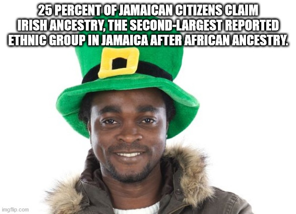 human behavior - 25 Percent Of Jamaican Citizens Claim Irish Ancestry, The SecondLargest Reported Ethnic Group In Jamaica After African Ancestry. imgflip.com