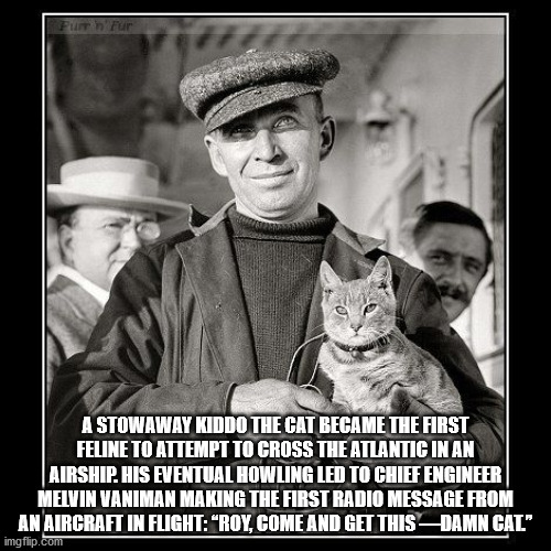 history cat - Furr n Fur 02 A Stowaway Kiddo The Cat Became The First Feline To Attempt To Cross The Atlantic In An Airship. His Eventual Howling Led To Chief Engineer Melvin Vaniman Making The First Radio Message From An Aircraft In Flight"Roy, Come And 