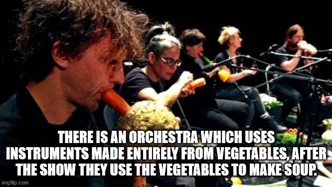 There Is An Orchestra Which Uses Instruments Made Entirely From Vegetables, After The Show They Use The Vegetables To Make Soup. imgflip.com