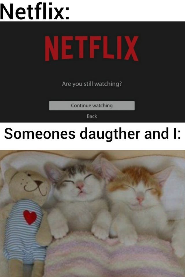 Continue watching. Мем с котами мое. Котики мемы ВК. Мемы с котами 2021. Cuddle meme.