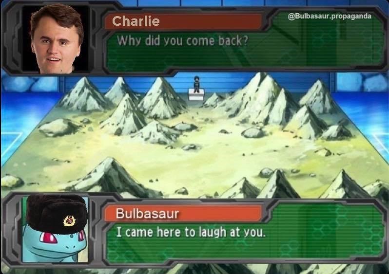 pewter gym - .propaganda Charlie Why did you come back? Bulbasaur I came here to laugh at you.