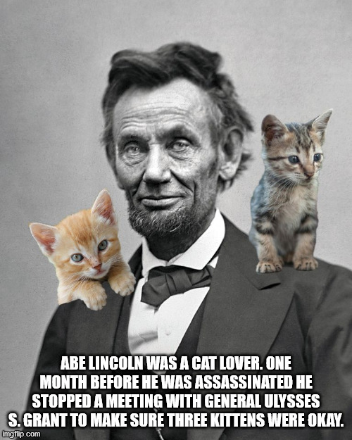 abraham lincoln - Abe Lincoln Was A Cat Lover. One Month Before He Was Assassinated He Stopped A Meeting With General Ulysses S. Grant To Make Sure Three Kittens Were Okay. imgflip.com