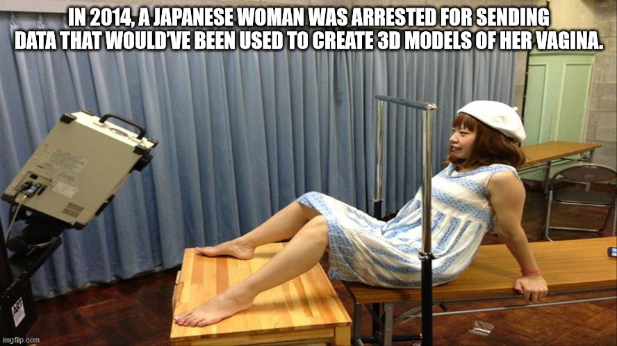 japanese vagina - In 2014, A Japanese Woman Was Arrested For Sending Data That Would'Ve Been Used To Create 3D Models Of Her Vagina. imgflip.com