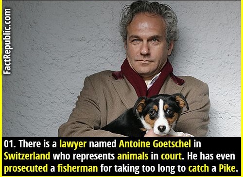 photo caption - FactRepublic.com 01. There is a lawyer named Antoine Goetschel in Switzerland who represents animals in court. He has even prosecuted a fisherman for taking too long to catch a Pike.