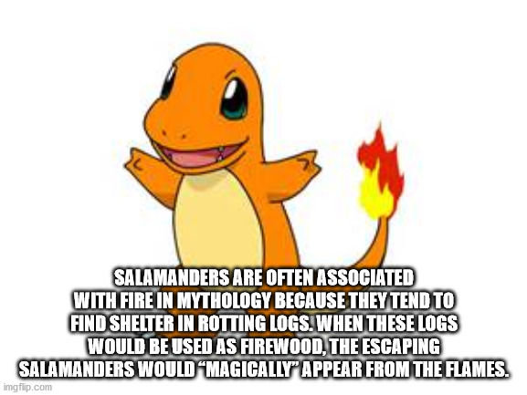 pokemon charmander - Salamanders Are Often Associated With Fire In Mythology Because They Tend To Find Shelter In Rotting Logs. When These Logs Would Be Used As Firewood, The Escaping Salamanders Wouldmagically" Appear From The Flames. imgflip.com