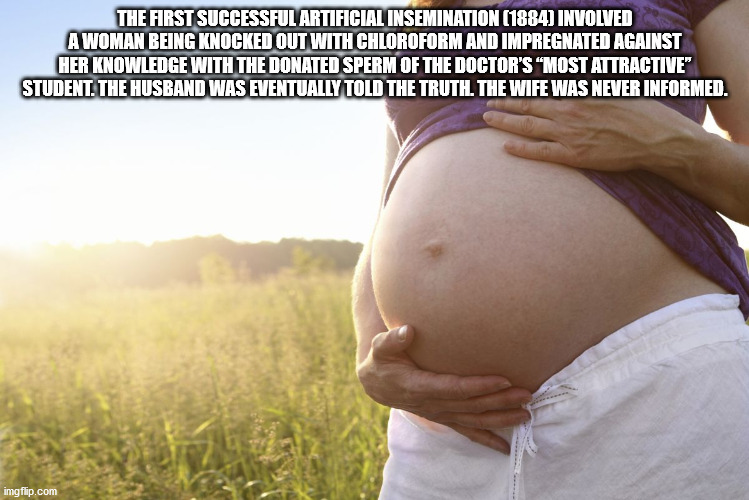 abdomen - The First Successful Artificial Insemination 1884 Involved A Woman Being Knocked Out With Chloroform And Impregnated Against Her Knowledge With The Donated Sperm Of The Doctor'S Most Attractive" Student. The Husband Was Eventually Told The Truth