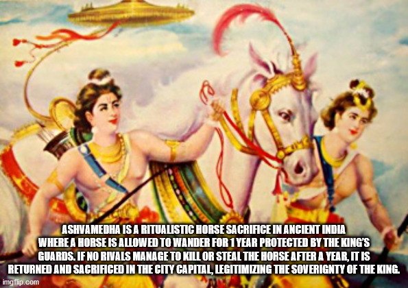 lava kusha ramayana - Ashvamedha Is A Ritualistic Horse Sacrifice In Ancient India Where A Horse Is Allowed To Wander For 1 Year Protected By The King'S Guards. If No Rivals Manage To Kill Or Steal The Horse After A Year, It Is Returned And Sacrificed In 