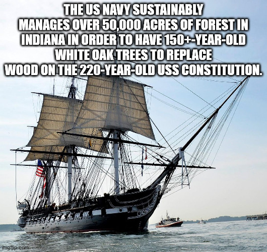 uss constitution - The Us Navy Sustainably Manages Over 50,000 Acres Of Forest In Indiana In Order To Have 150YearOld White Oak Trees To Replace Wood On The 220YearOld Uss Constitution. imgulip, com