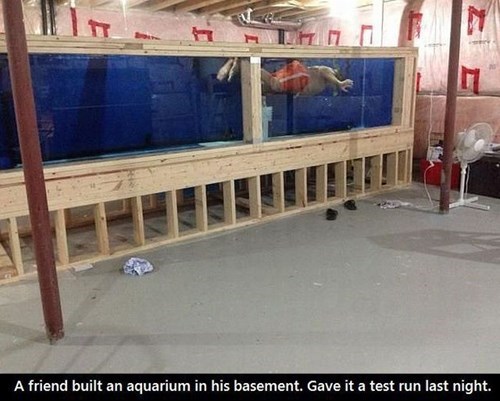 floor - In A friend built an aquarium in his basement. Gave it a test run last night.