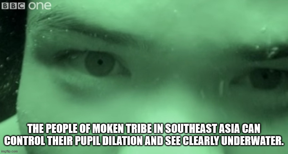 cool facts - The People Of Moken Tribe In Southeast Asia Can Control Their Pupil Dilation And See Clearly Underwater.