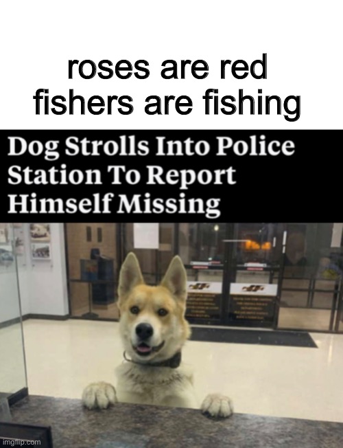 animals in police station - roses are red fishers are fishing Dog Strolls Into Police Station To Report Himself Missing imgmlip.com