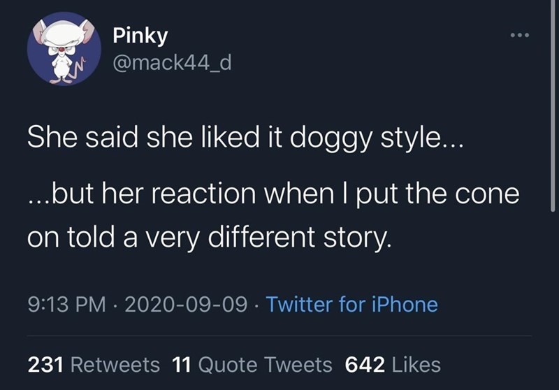 atmosphere - Pinky She said she d it doggy style... ...but her reaction when I put the cone on told a very different story. Twitter for iPhone 231 11 Quote Tweets 642