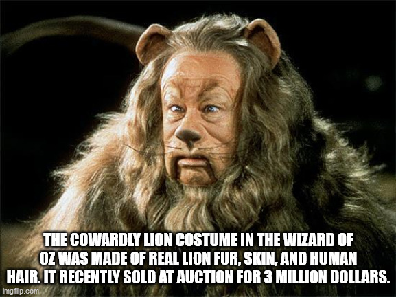 wizard of oz 1939 lion - The Cowardly Lion Costume In The Wizard Of Oz Was Made Of Real Lion Fur, Skin, And Human Hair. It Recently Sold At Auction For 3 Million Dollars. imgflip.com