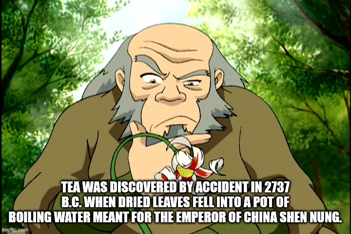 avatar the last airbender - ve Tea Was Discovered By Accident In 2737 B.C. When Dried Leaves Fell Into A Pot Of Boiling Water Meant For The Emperor Of China Shen Nung. imgflip.com