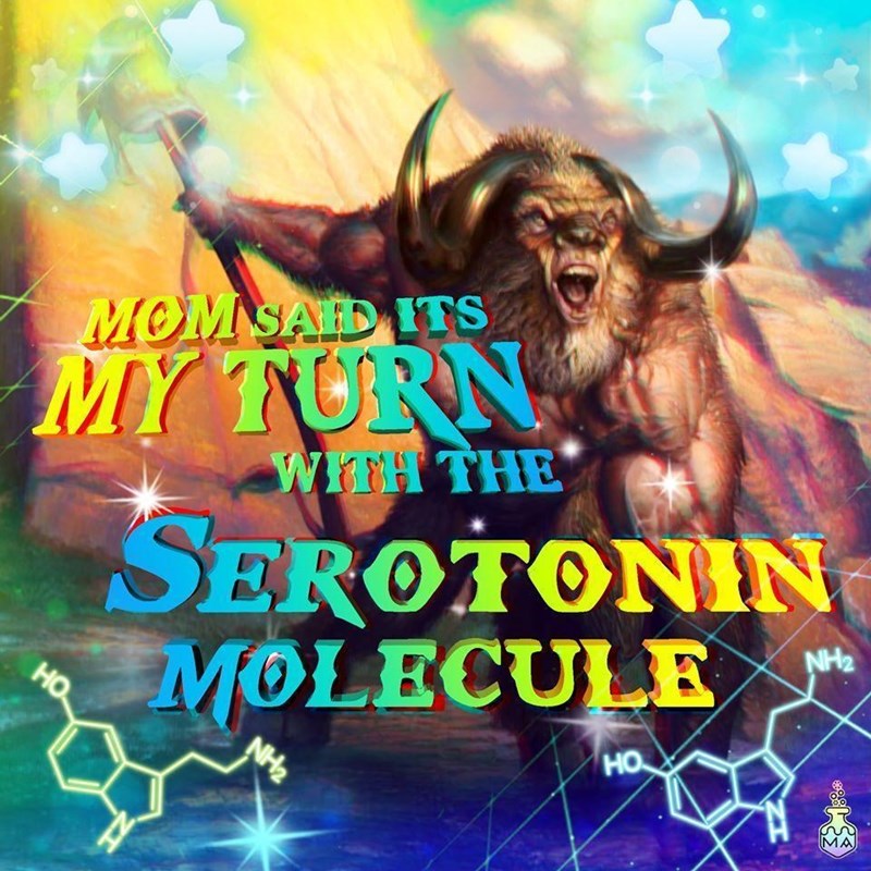 album cover - Momsaid Its My Turn Wta The Serotonin Molecule Ho. NH2 NH2 Ho Ma