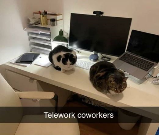 desk - Telework coworkers