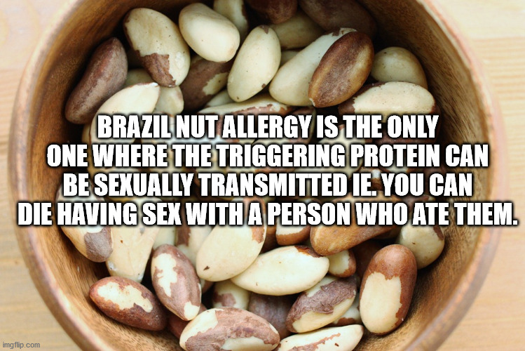 Brazil nut - Brazil Nut Allergy Is The Only One Where The Triggering Protein Can Be Sexually Transmitted Ie. You Can Die Having Sex With A Person Who Ate Them. imgflip.com