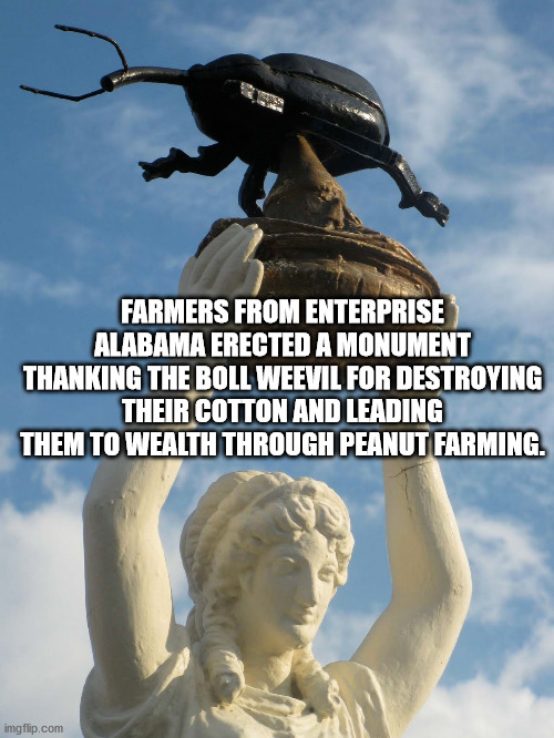 7 strange shrines around the world - Farmers From Enterprise Alabama Erected A Monument Thanking The Boll Weevil For Destroying Their Cotton And Leading Them To Wealth Through Peanut Farming. imgflip.com