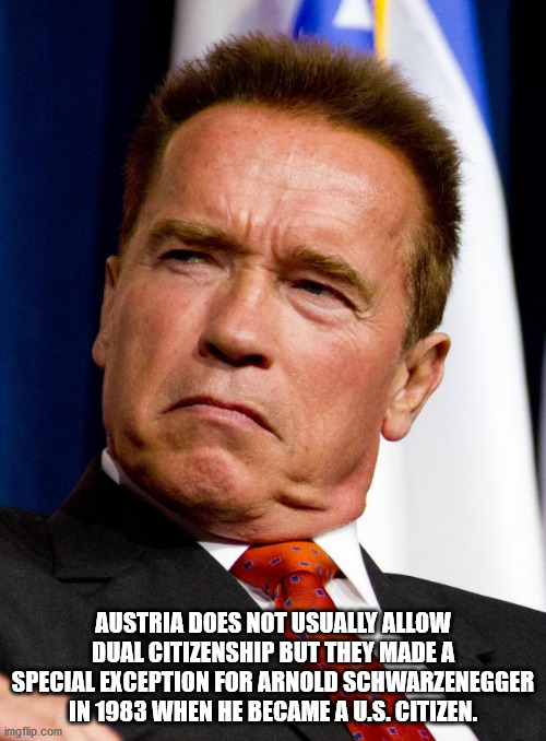 schwarzenegger meme - Austria Does Not Usually Allow Dual Citizenship But They Made A Special Exception For Arnold Schwarzenegger In 1983 When He Became A U.S. Citizen. imgflip.com