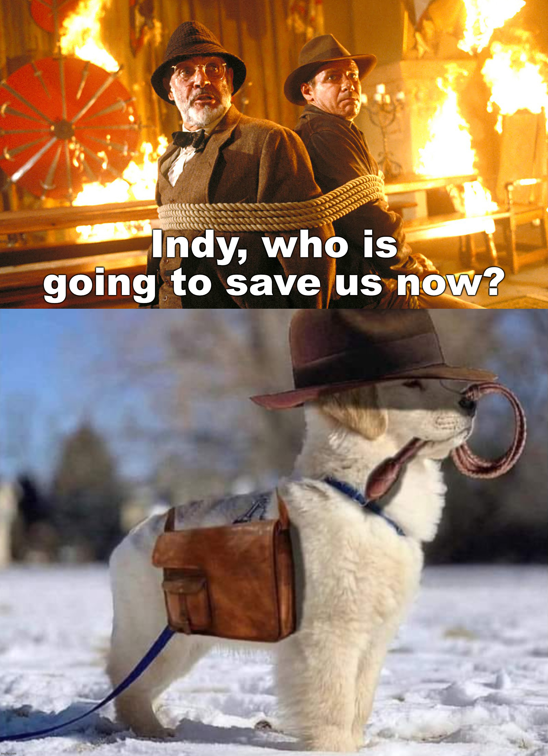 indiana bones - Indy, who is going to save us now?