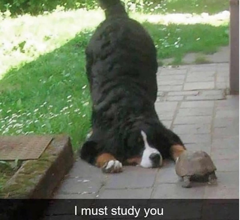 you re doing me a fascinate - I must study you