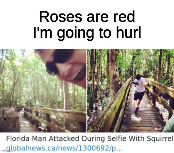 Internet meme - Roses are red I'm going to hurl Florida Man Attacked During Selfie With Squirrel imgglobalnews.canews1300692p...