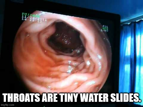 mouth - Throats Are Tiny Water Slides. imgflip.com