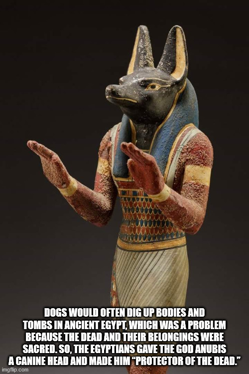Dogs Would Often Dig Up Bodies And Tombs In Ancient Egypt, Which Was A Problem Because The Dead And Their Belongings Were Sacred. So, The Egyptians Gave The God Anubis A Canine Head And Made Him Protector Of The Dead." imgflip.com