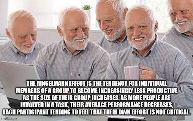 group project meme - The Ringelmann Effect Is The Tendency For Individual Members Of A Group To Become Increasingly Less Productive As The Size Of Their Group Increases. As More People Are Involved In A Task, Their Average Performance Decreases, Each Part