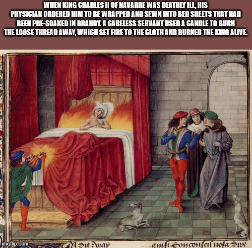 Charles II of Navarre - When King Charles Ii Of Navarre Was Deathly Ill His Physician Ordered Him To Be Wrapped And Sewn Into Bed Sheets That Had Been PreSoaked In Brandy A Careless Servant Used A Candle To Burn The Loose Thread Away, Which Set Fire To Th