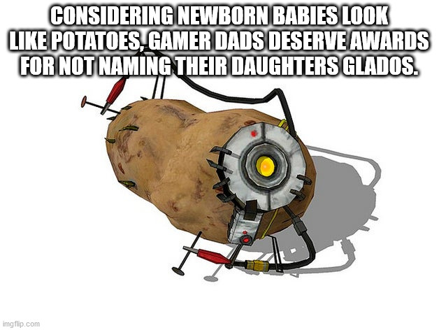 glados potato meme - Considering Newborn Babies Look Potatoes, Gamer Dads Deserve Awards For Not Naming Their Daughters Glados. 7 imgflip.com