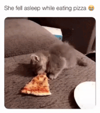 kitten falls asleep on pizza - She fell asleep while eating pizza