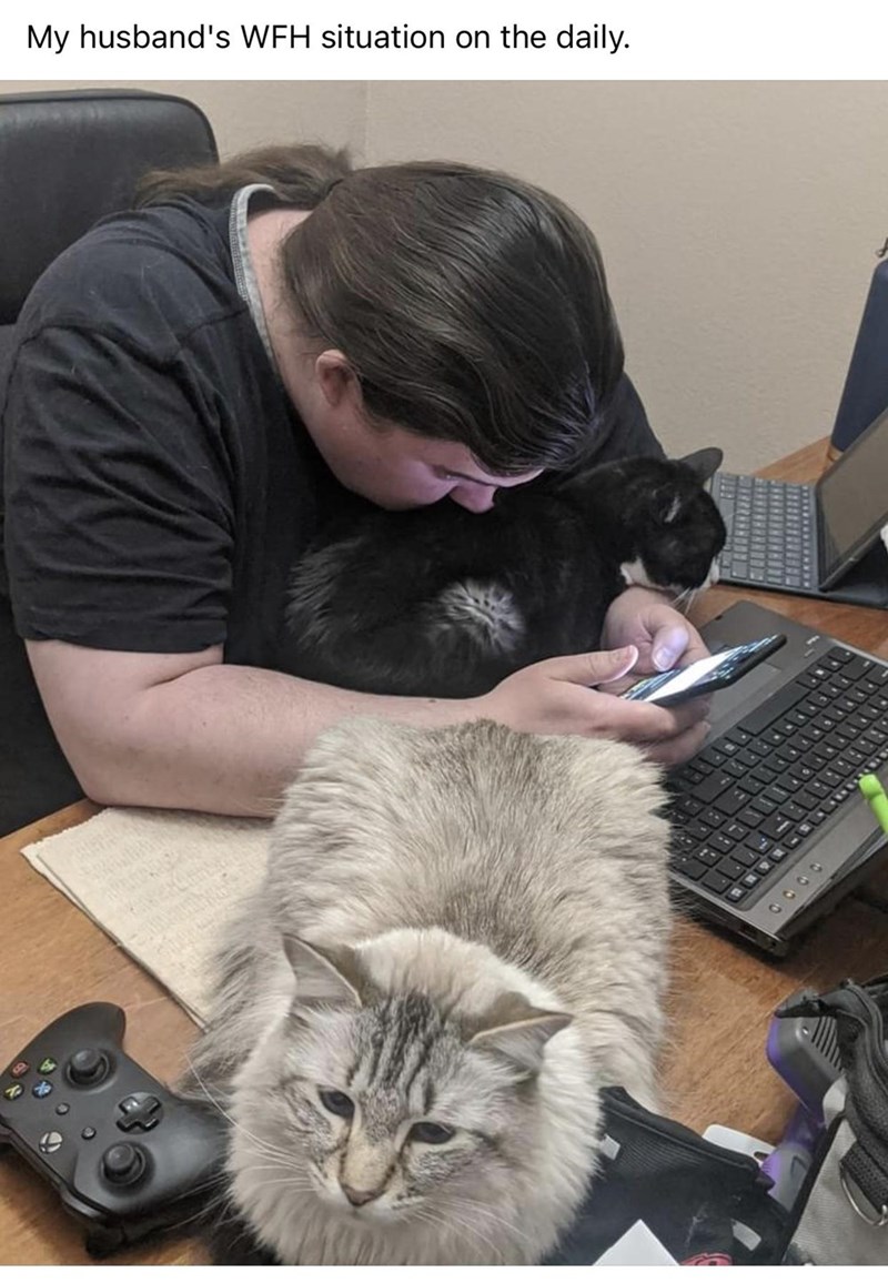 photo caption - My husband's Wfh situation on the daily.