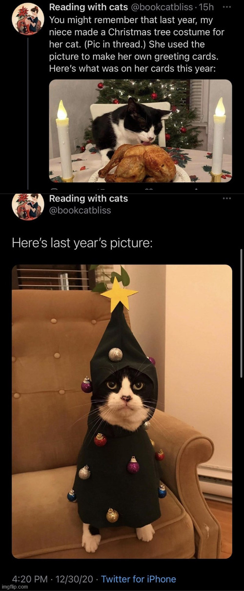 cartoon - Reading with cats . 15h You might remember that last year, my niece made a Christmas tree costume for her cat. Pic in thread. She used the picture to make her own greeting cards. Here's what was on her cards this year Reading with cats Here's la