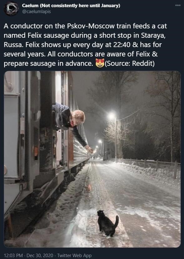 Train - 000 Caelum Not consistently here until January A conductor on the PskovMoscow train feeds a cat named Felix sausage during a short stop in Staraya, Russa. Felix shows up every day at & has for several years. All conductors are aware of Felix & pre
