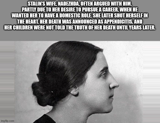 goonswarm propaganda - Stalin'S Wife, Nadezhda, Often Argued With Him, Partly Due To Her Desire To Pursue A Career, When He Wanted Her To Have A Domestic Role. She Later Shot Herself In The Heart. Her Death Was Announced As Appendicitis, And Her Children 