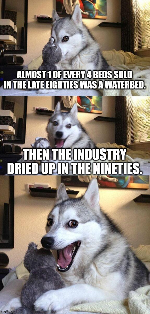 husky telling joke meme - Almost 1 Of Every 4 Beds Sold In The Late Eighties Was A Waterbed. Then The Industry Dried Up In The Nineties. imgflip.co