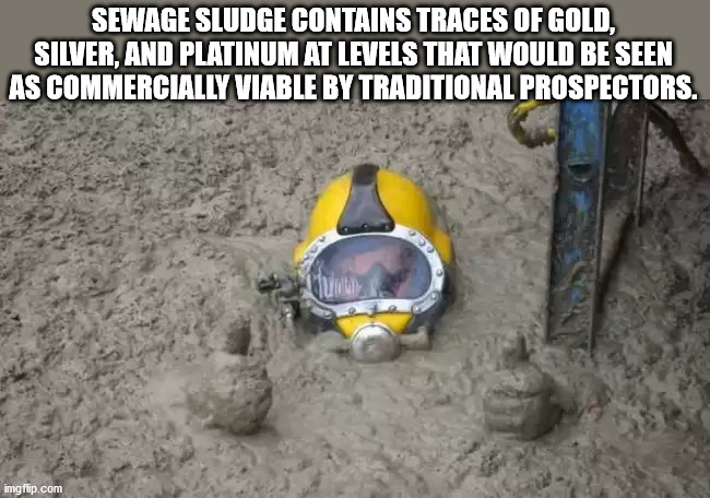 Sewage - Sewage Sludge Contains Traces Of Gold, Silver, And Platinum At Levels That Would Be Seen As Commercially Viable By Traditional Prospectors. imgflip.com