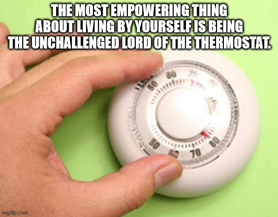 lower thermostat - The Most Empowering Thing About Living By Yourself Is Being The Unchallenged Lord Of The Thermostat. 70 imgflip.com