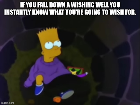 timmy o toole - If You Fall Down A Wishing Well You Instantly Know What You'Re Going To Wish For. imgflip.com