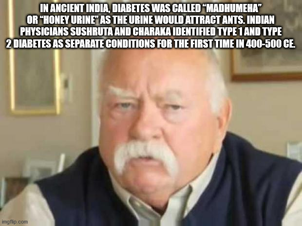 wilford brimley diabetes - In Ancient India, Diabetes Was Called "Madhumeha" Or "Honey Urine" As The Urine Would Attract Ants. Indian Physicians Sushruta And Charaka Identified Type 1 And Type 2 Diabetes As Separate Conditions For The First Time In 400500