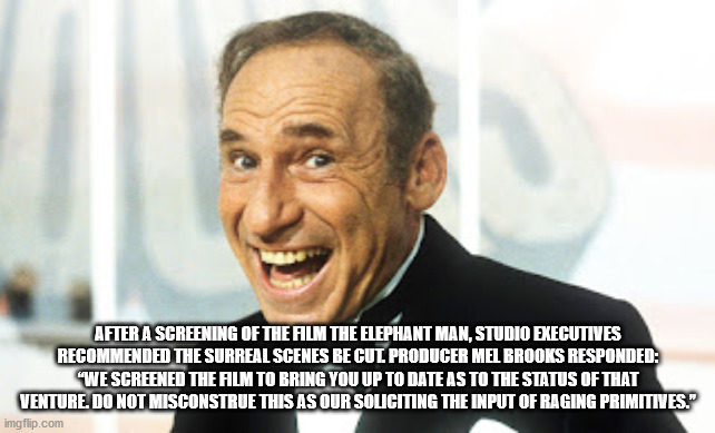 Mel Brooks - After A Screening Of The Film The Elephant Man, Studio Executives Recommended The Surreal Scenes Be Cut Producer Mel Brooks Responded "We Screened The Alm To Bring You Up To Date As To The Status Of That Venture. Do Not Misconstrue This As Ou