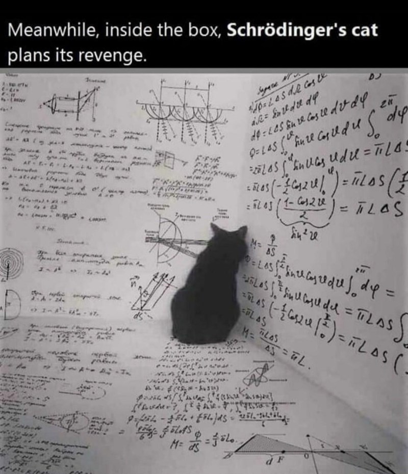 meanwhile inside the box schrodinger's cat plans its revenge - Meanwhile, inside the box, Schrdinger's cat plans its revenge. S de Costa de final de A wy Art.4. Les fauve lasle dvdy polas sa hull Gradu s de stan. Los invas Udu Tiles See moss Gul" Tlas A .