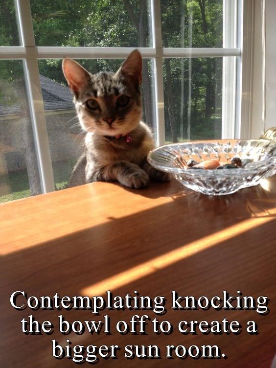 photo caption - We Contemplating knocking the bowl off to create a bigger sun room.