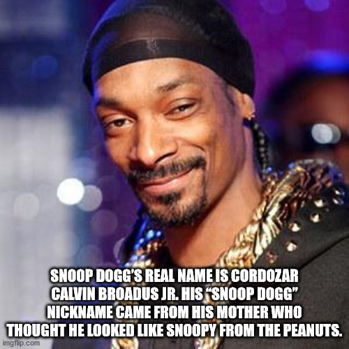 stay up in yo hizzle meme - Snoop Dogg'S Real Name Is Cordozar Calvin Broadus Jr. His "Snoop Dogg" Nickname Came From His Mother Who Thought He Looked Snoopy From The Peanuts. imgflip.com