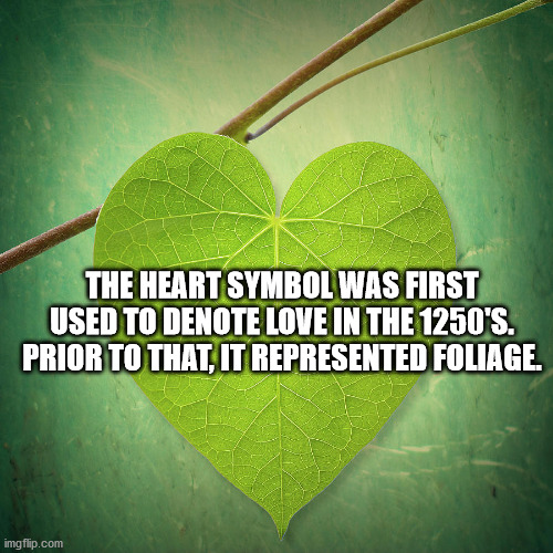 nature lover - The Heart Symbol Was First Used To Denote Love In The 1250'S. Prior To That, It Represented Foliage. imgflip.com